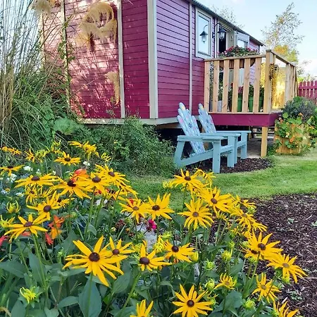 The Feathers Shepherds Hut Campismo de Luxo