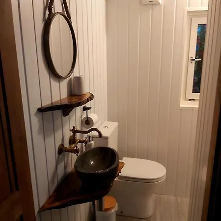 The Feathers Shepherds Hut *