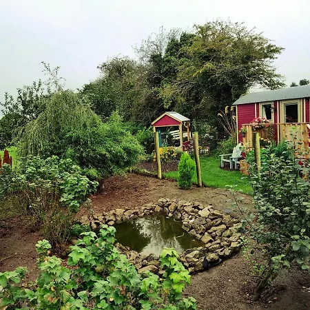 The Feathers Shepherds Hut 豪华帐篷 *