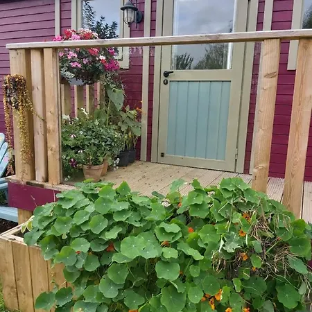 The Feathers Shepherds Hut Ath Eascrach