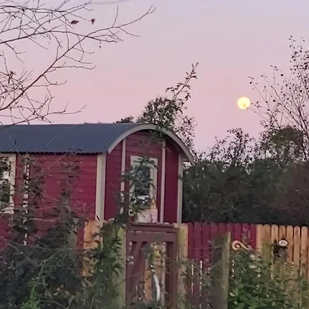 The Feathers Shepherds Hut 豪华帐篷 *