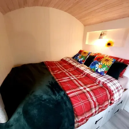 The Feathers Shepherds Hut 豪华帐篷