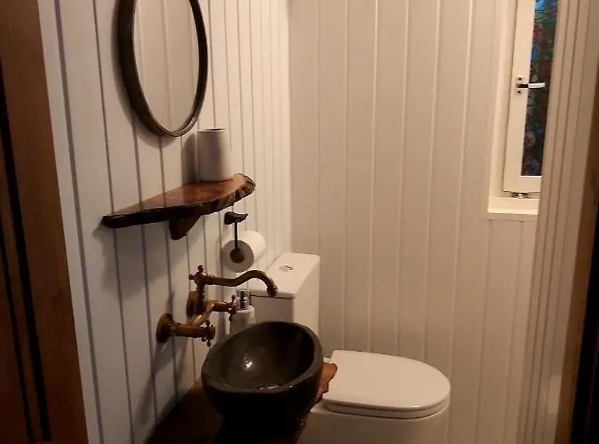 The Feathers Shepherds Hut *