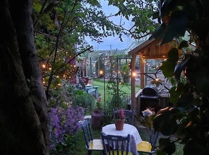 The Feathers Shepherds Hut *