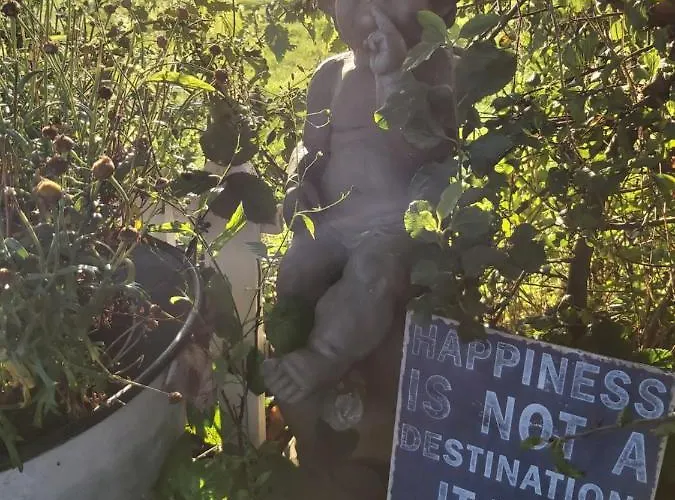 The Feathers Shepherds Hut Luxuszelt Ath Eascrach