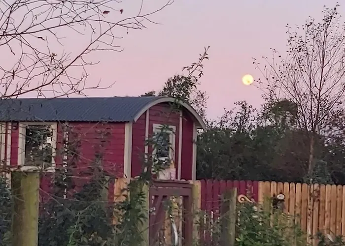 The Feathers Shepherds Hut 豪华帐篷 *