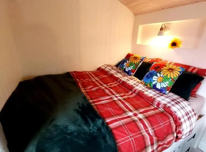 The Feathers Shepherds Hut Luxuszelt